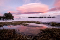 La nube on the snow